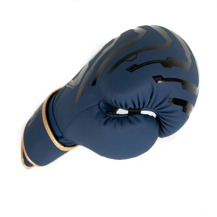 Booster Bokshandschoenen BG Youth Elite V2.4 Blauw/Goud - Image 6