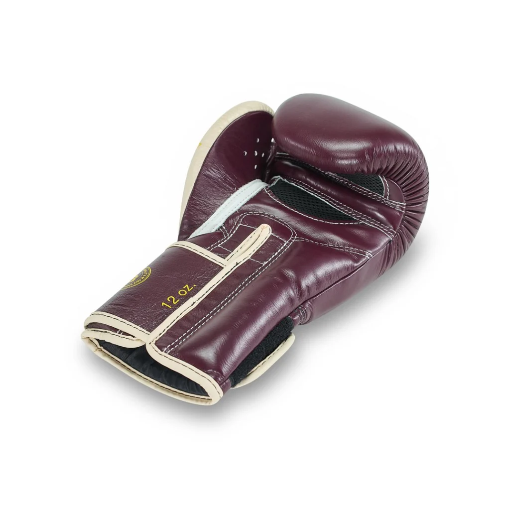 Fairtex Booster Bokshandschoenen FXB BG V2 BK/CR - Image 5