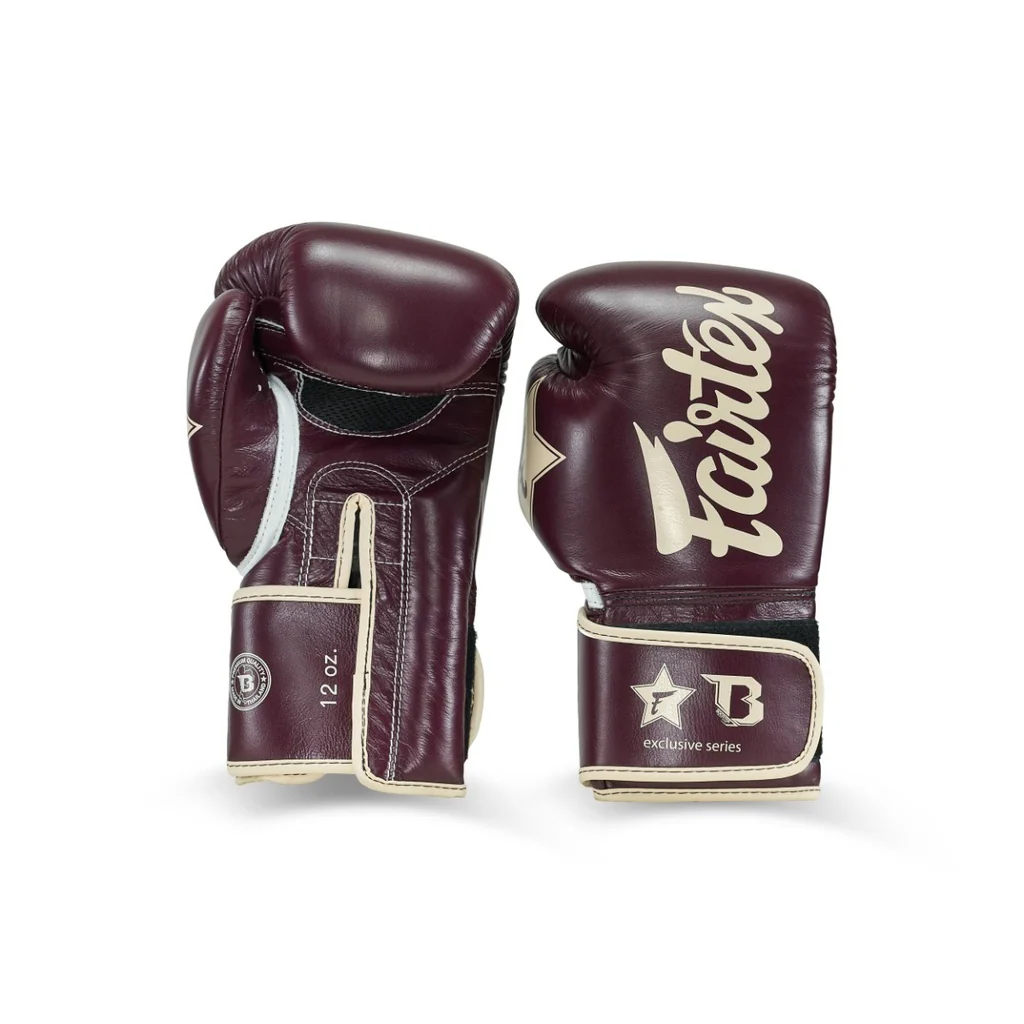 Fairtex Booster Bokshandschoenen FXB BG V2 BR/CR - Image 2