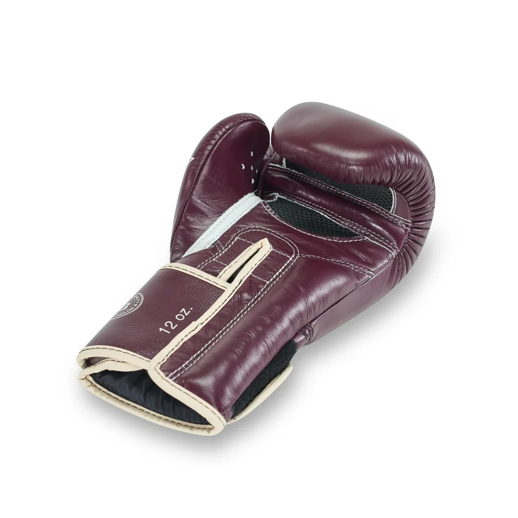 Fairtex Booster Bokshandschoenen FXB BG V2 BR/CR - Image 4