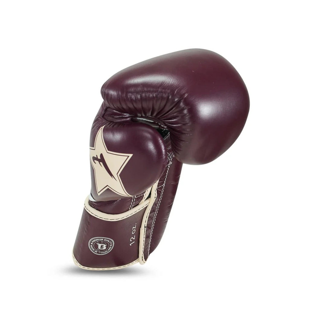 Fairtex Booster Bokshandschoenen FXB BG V2 BR/CR - Image 5