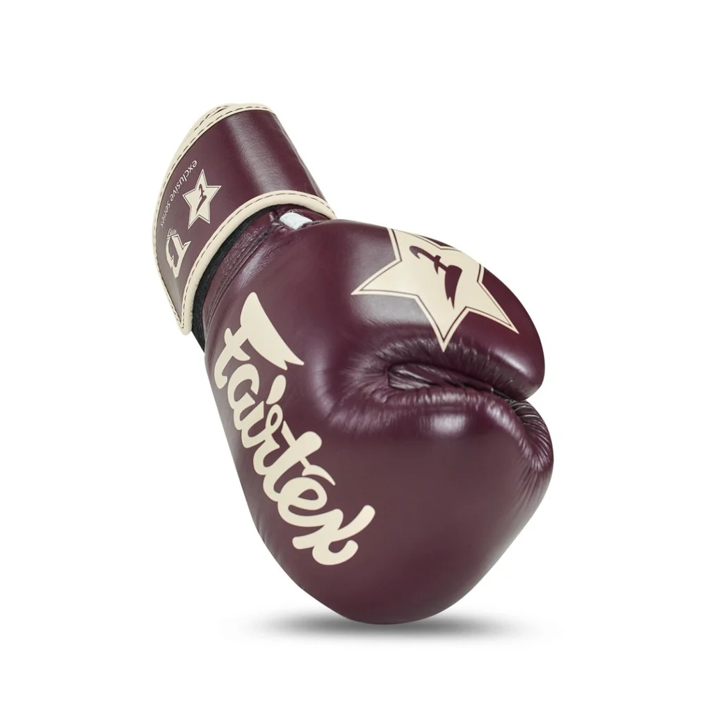 Fairtex Booster Bokshandschoenen FXB BG V2 BR/CR - Image 6