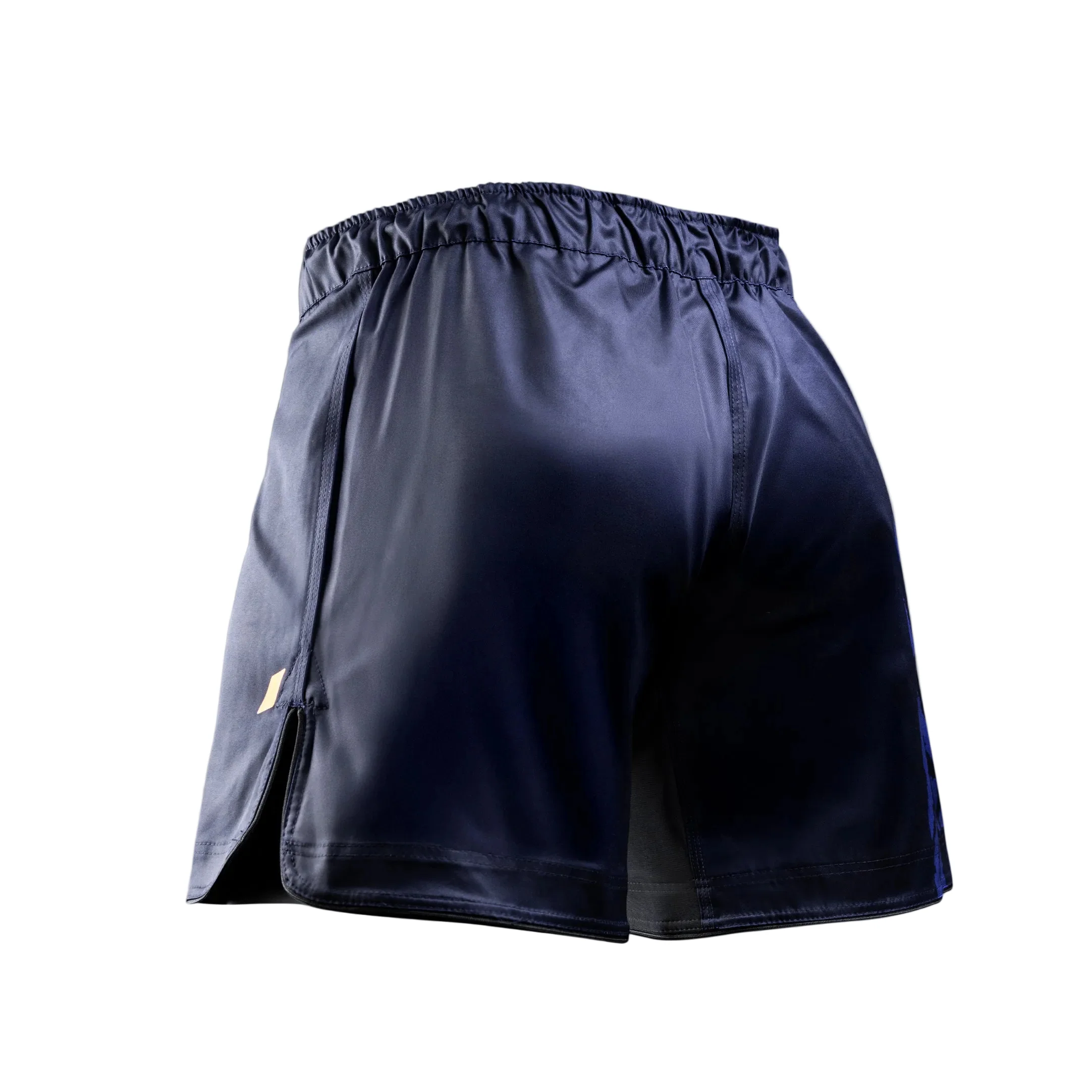 Hayabusa Apex Fight Short Mid-Thigh Blauw - Image 2