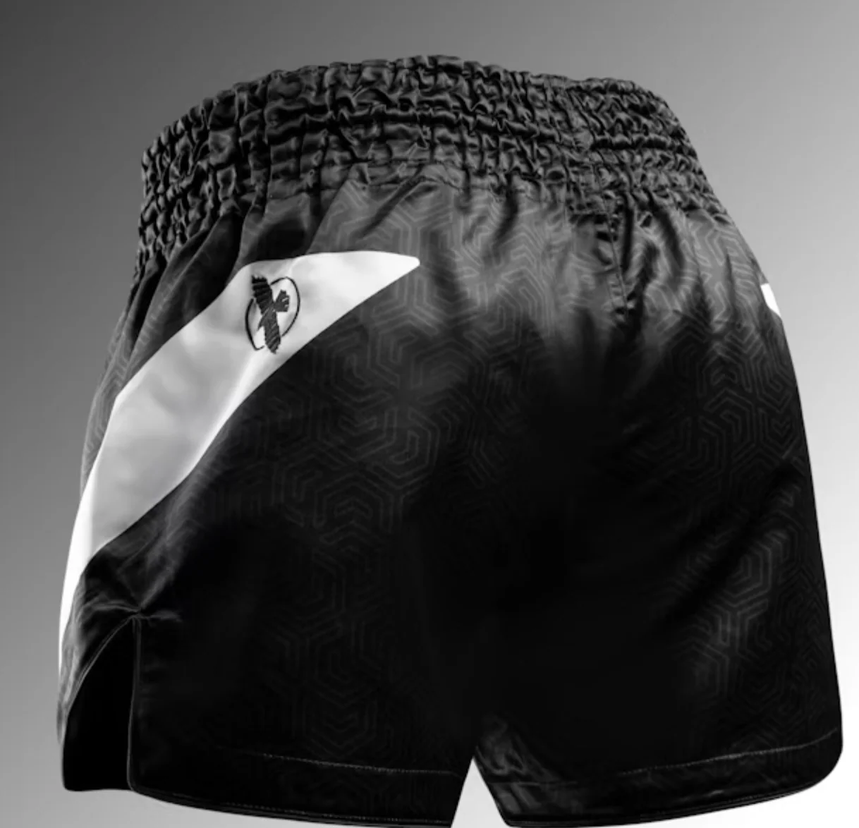 Hayabusa Muay/Thaishort Core Zwart - Image 2