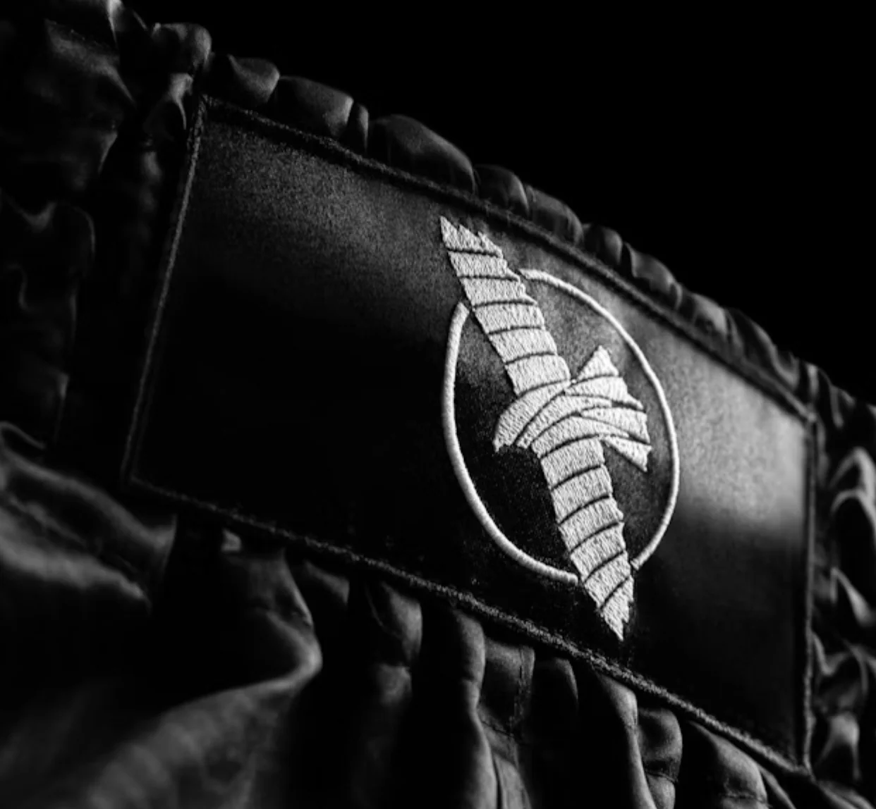 Hayabusa Muay/Thaishort Core Zwart - Image 4