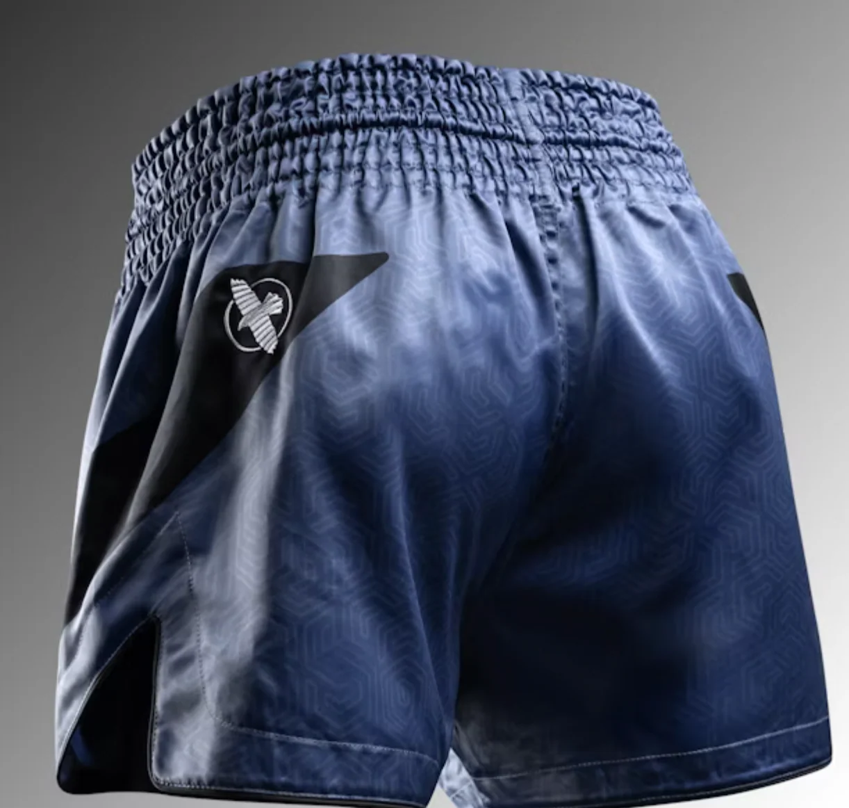 Hayabusa Muay/Thaishort Core Blauw - Image 2