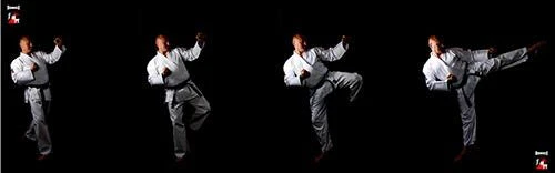 Karate Pak Rumble Wit - Image 3